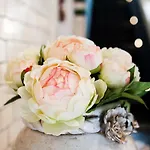 Schottennester Schlafen An Der Kraemerbruecke