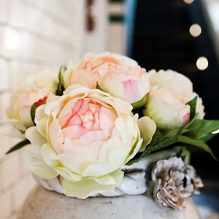 Schottennester Schlafen An Der Kraemerbruecke