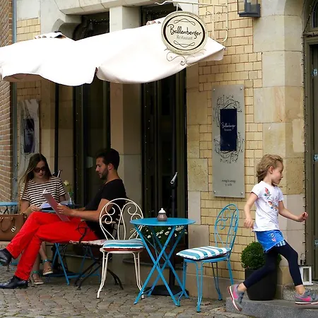 Schottennester Schlafen An Der Kraemerbruecke