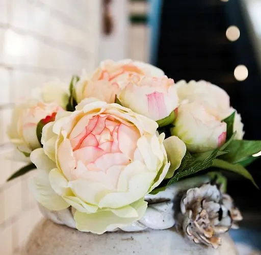 Schottennester Schlafen An Der Kraemerbruecke